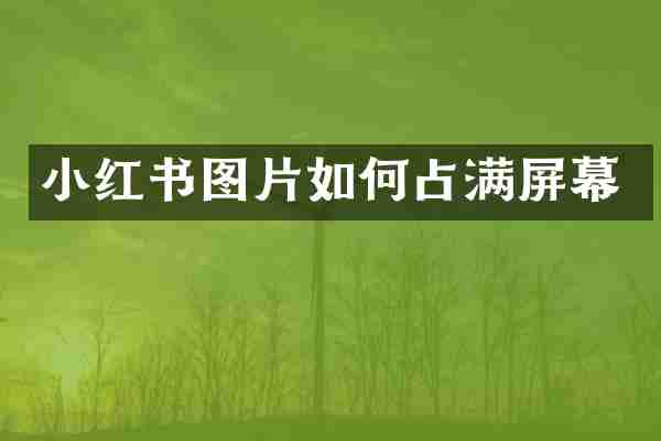 小红书图片如何占满屏幕