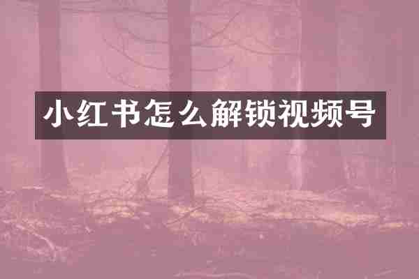 小红书怎么解锁视频号