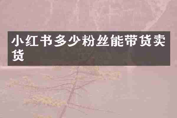 小红书多少粉丝能带货卖货