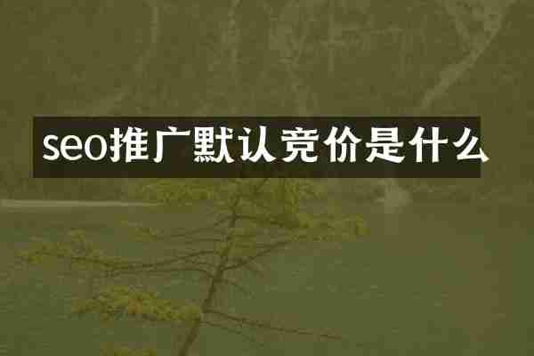 seo推广默认竞价是什么