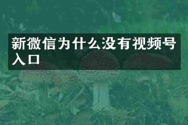 新微信为什么没有视频号入口