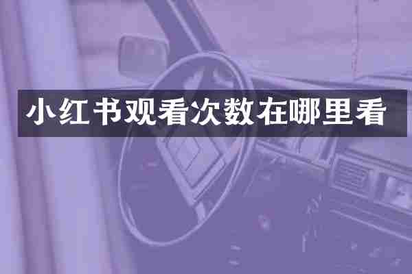 小红书观看次数在哪里看