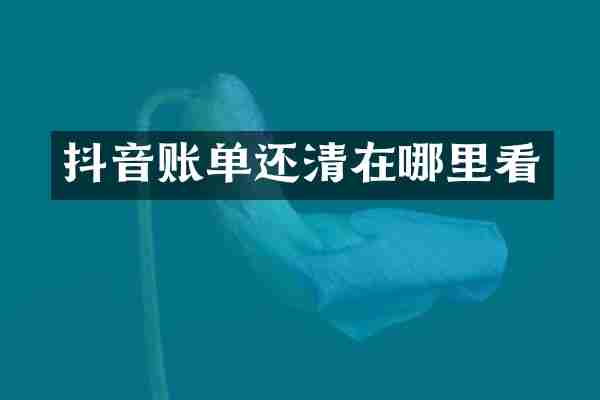 抖音账单还清在哪里看