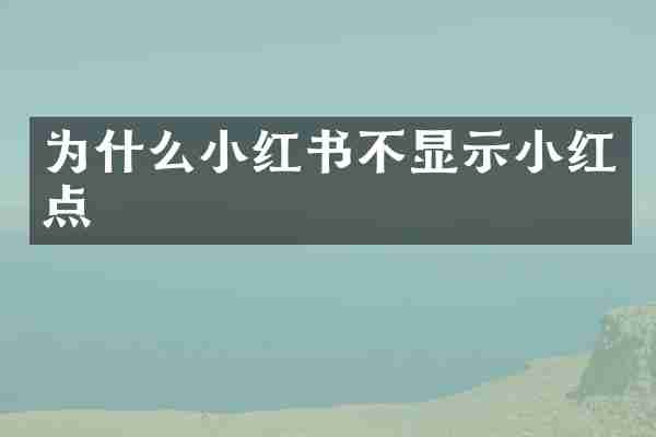 为什么小红书不显示小红点