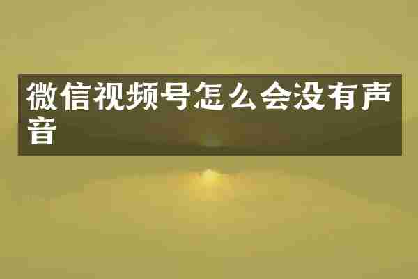 微信视频号怎么会没有声音