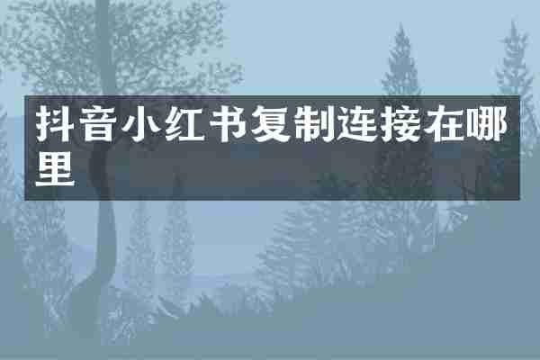 抖音小红书复制连接在哪里