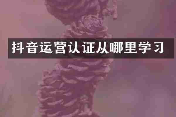 抖音运营认证从哪里学习