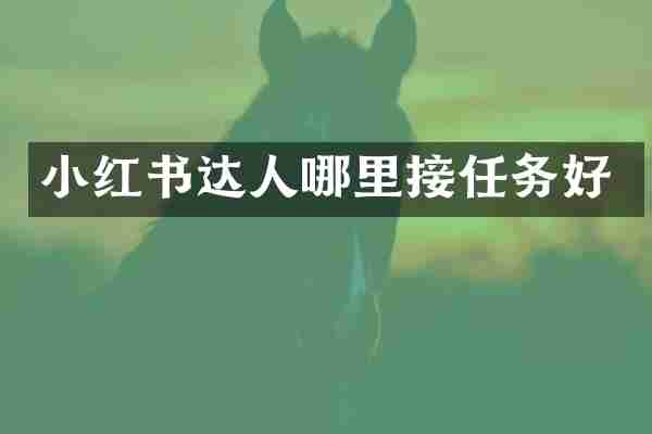 小红书达人哪里接任务好