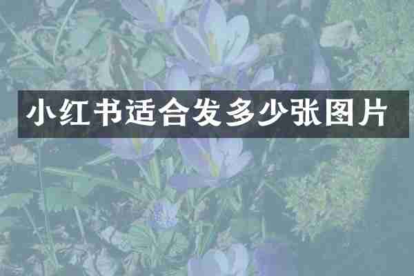 小红书适合发多少张图片