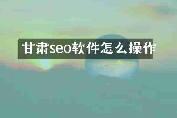 甘肃seo软件怎么操作
