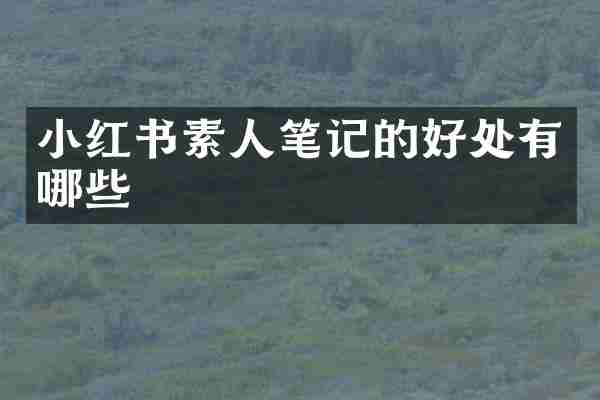 小红书素人笔记的好处有哪些