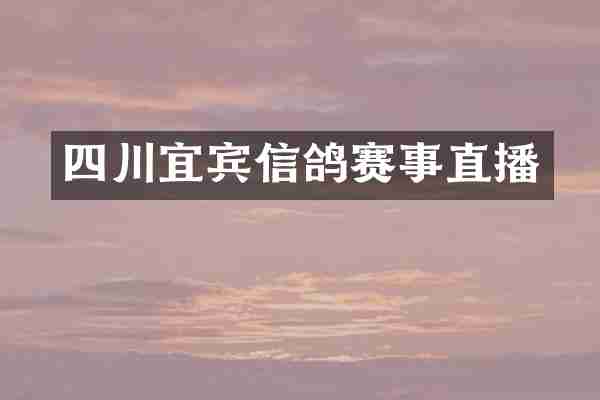 四川宜宾信鸽赛事直播