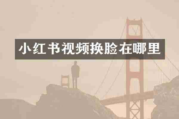 小红书视频换脸在哪里
