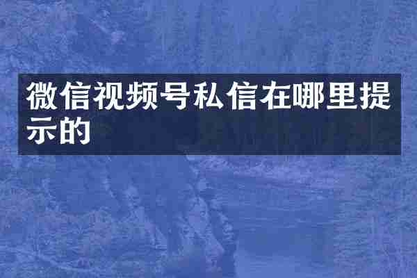微信视频号私信在哪里提示的