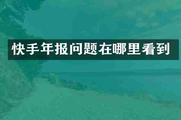 快手年报问题在哪里看到