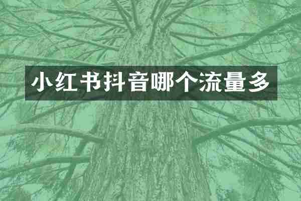 小红书抖音哪个流量多