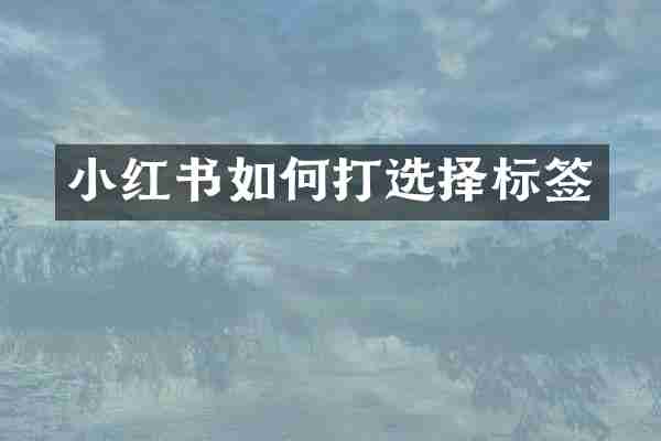 小红书如何打选择标签