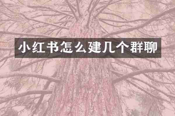 小红书怎么建几个群聊