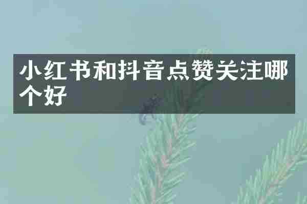 小红书和抖音点赞关注哪个好