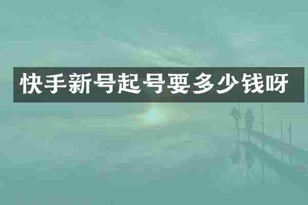 快手新号起号要多少钱呀