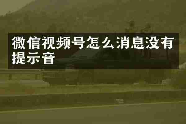微信视频号怎么消息没有提示音