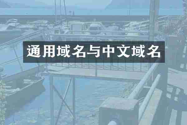 通用域名与中文域名