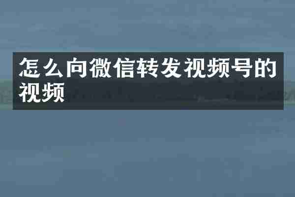 怎么向微信转发视频号的视频