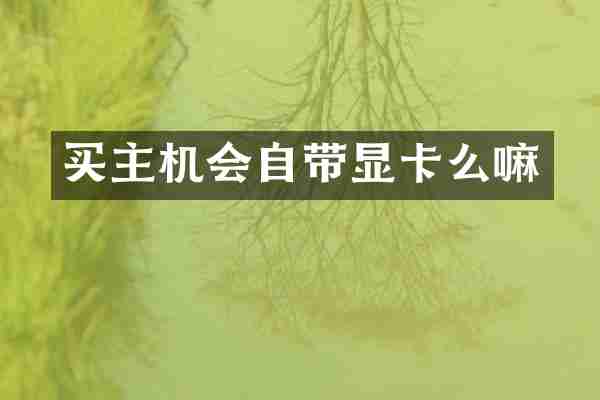 买主机会自带显卡么嘛