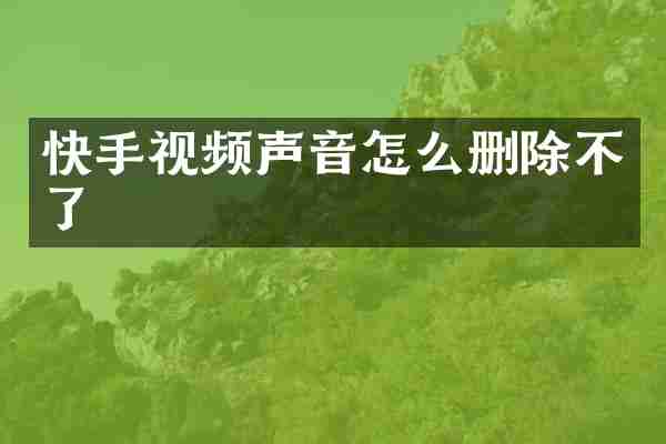 快手视频声音怎么删除不了