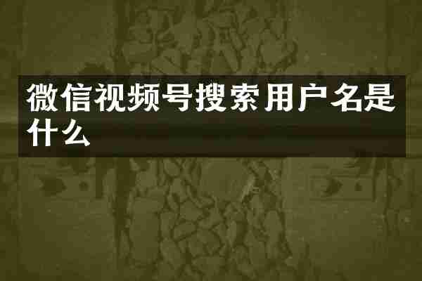 微信视频号搜索用户名是什么