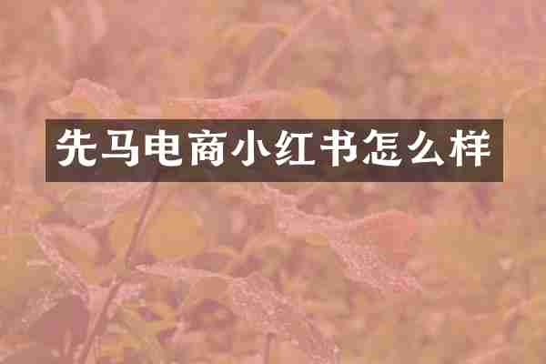 先马电商小红书怎么样