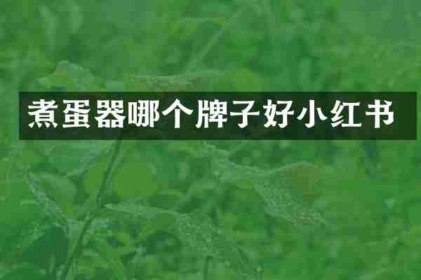 煮蛋器哪个牌子好小红书