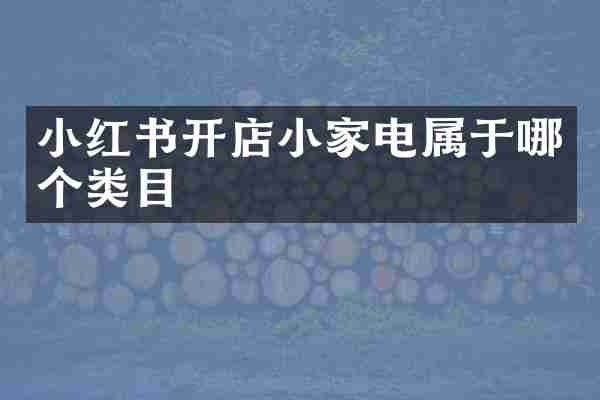 小红书开店小家电属于哪个类目