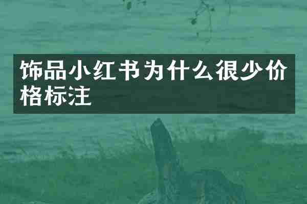 饰品小红书为什么很少价格标注