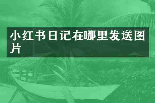 小红书日记在哪里发送图片
