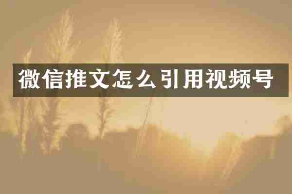 微信推文怎么引用视频号