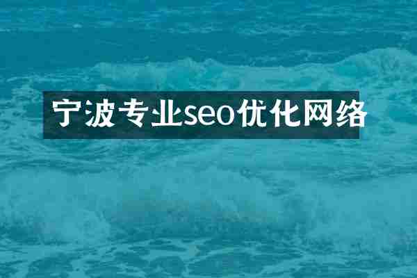 宁波专业seo优化网络