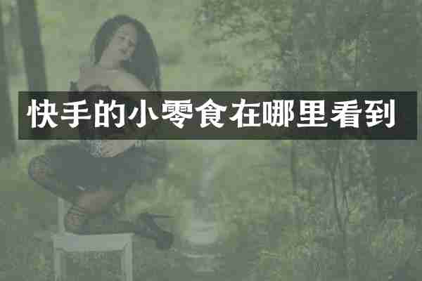 快手的小零食在哪里看到