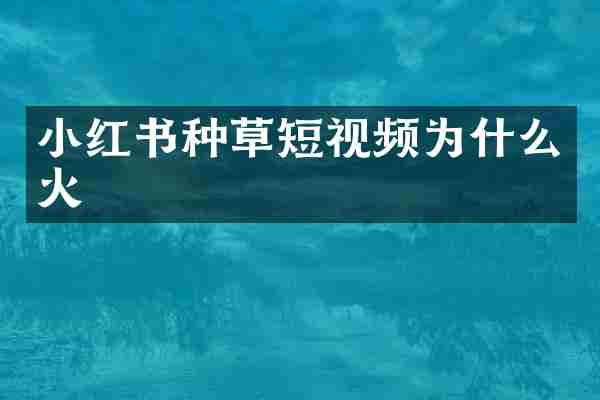 小红书种草短视频为什么火