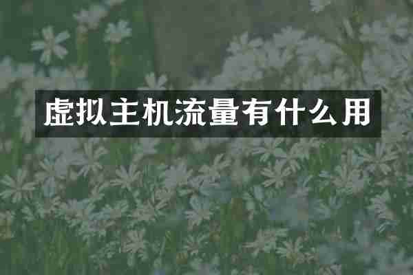 虚拟主机流量有什么用