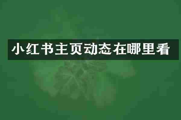 小红书主页动态在哪里看
