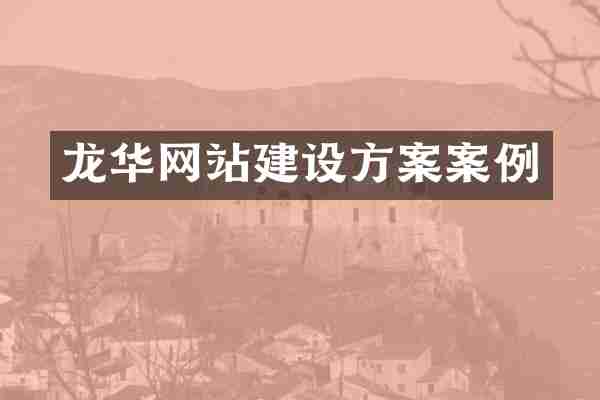 龙华网站建设方案案例