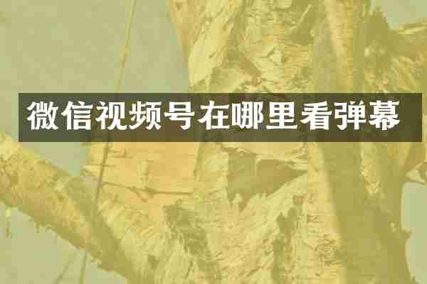 微信视频号在哪里看弹幕