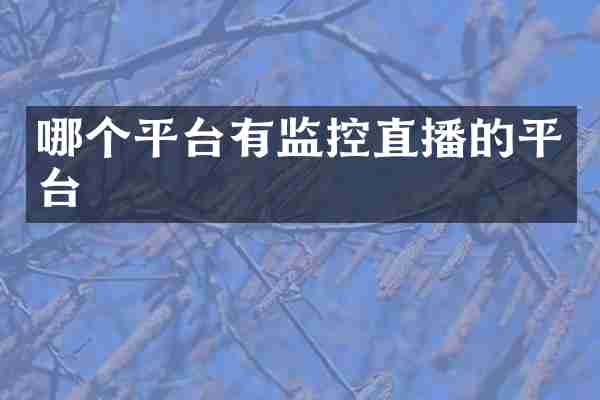 哪个平台有监控直播的平台