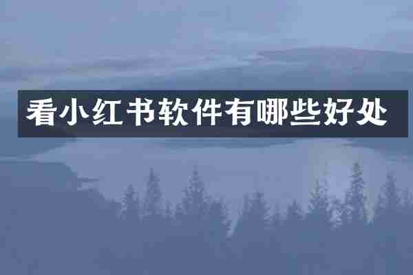 看小红书软件有哪些好处