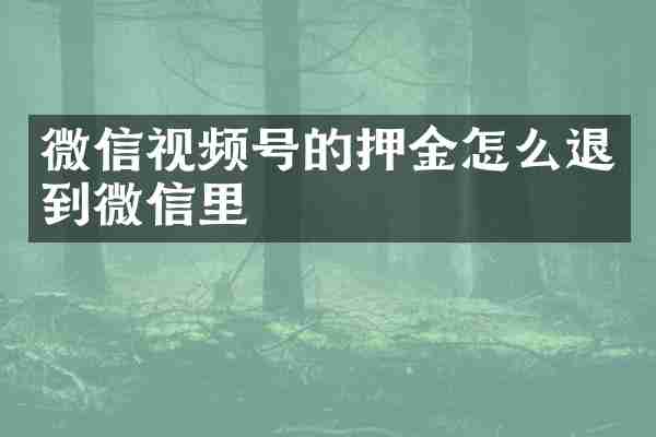 微信视频号的押金怎么退到微信里