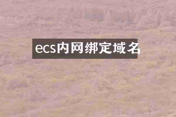 ecs内网绑定域名