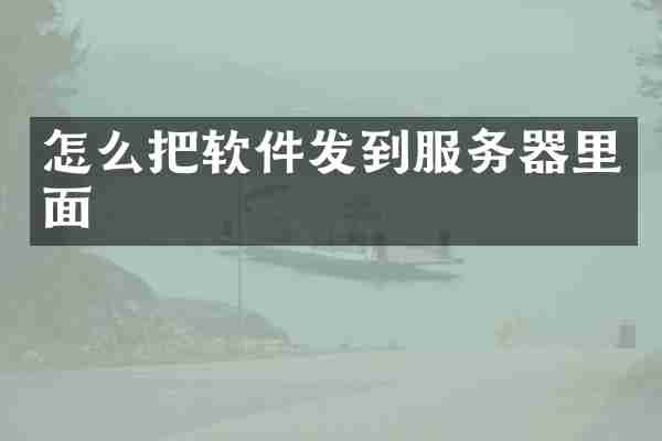 怎么把软件发到服务器里面