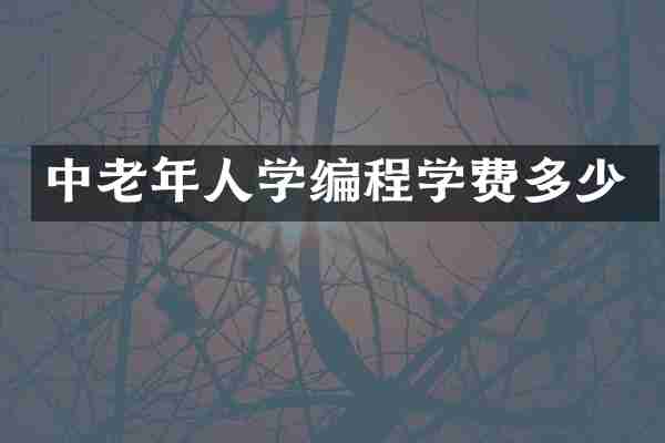 中老年人学编程学费多少