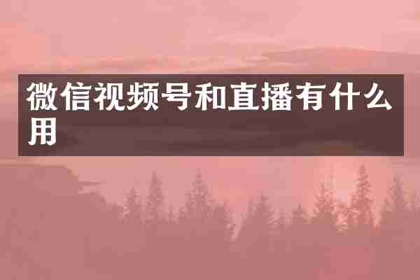 微信视频号和直播有什么用
